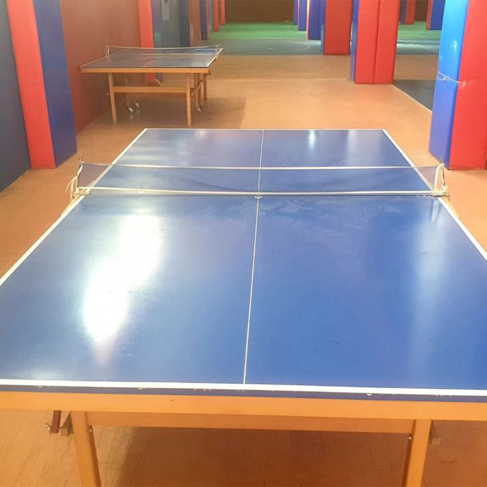 SPOR ALANLARI